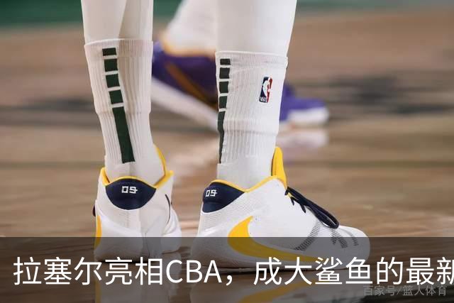 拉塞尔亮相CBA，成大鲨鱼的最新“全明星”法宝！